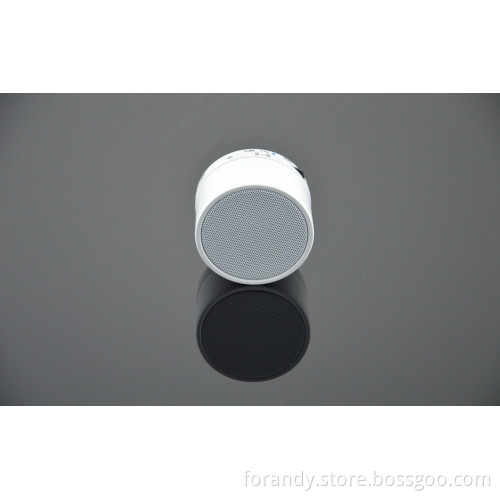 Small Wireless Bluetooth Speaker for iPhone. iPad (SP01)